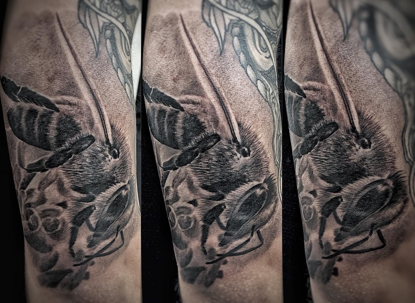 Full sleeve tattoo completed in Dubai studio