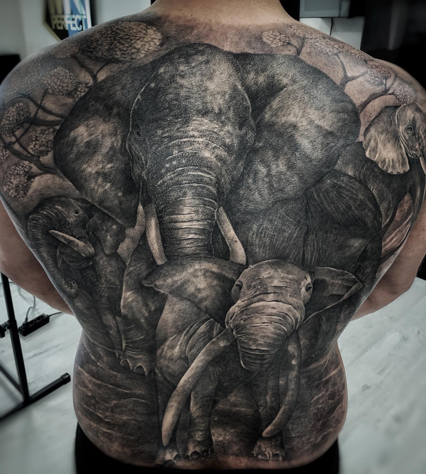Full sleeve tattoo completed in Dubai studio